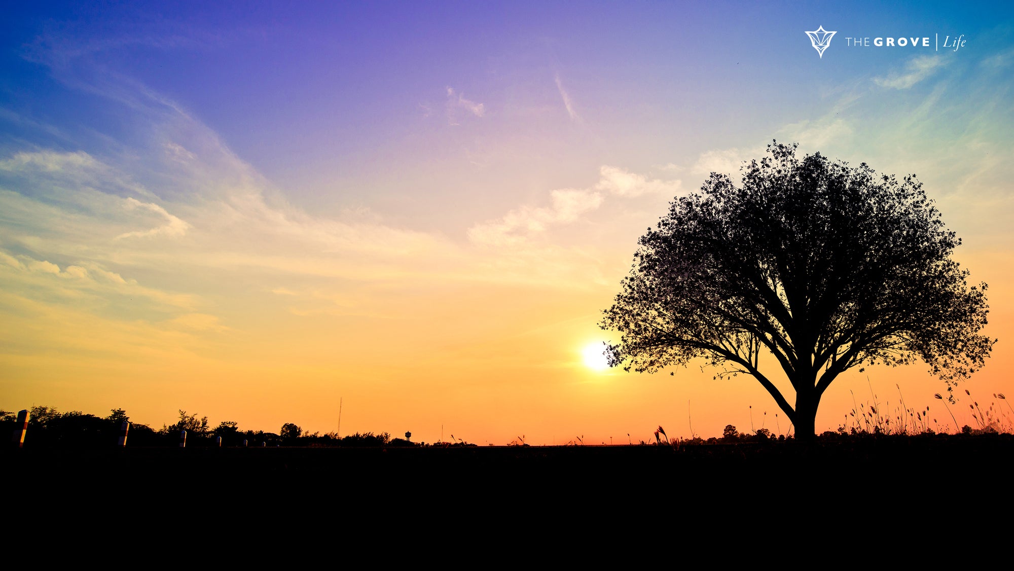 Ayurveda. The Time Is Now.