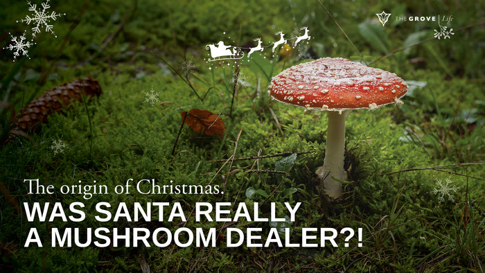Was Santa Really a Mushroom Dealer?