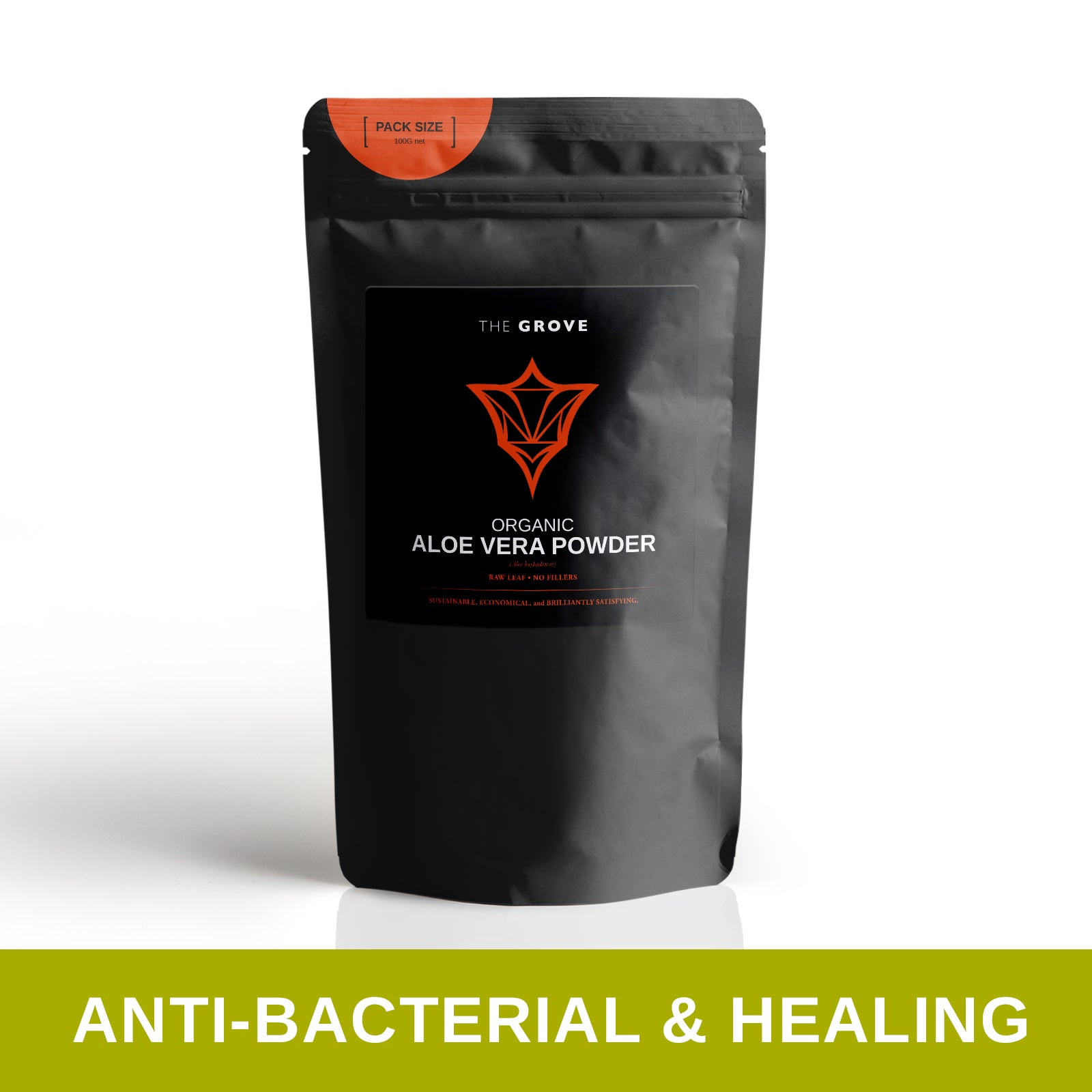 Organic Aloe Vera Powder